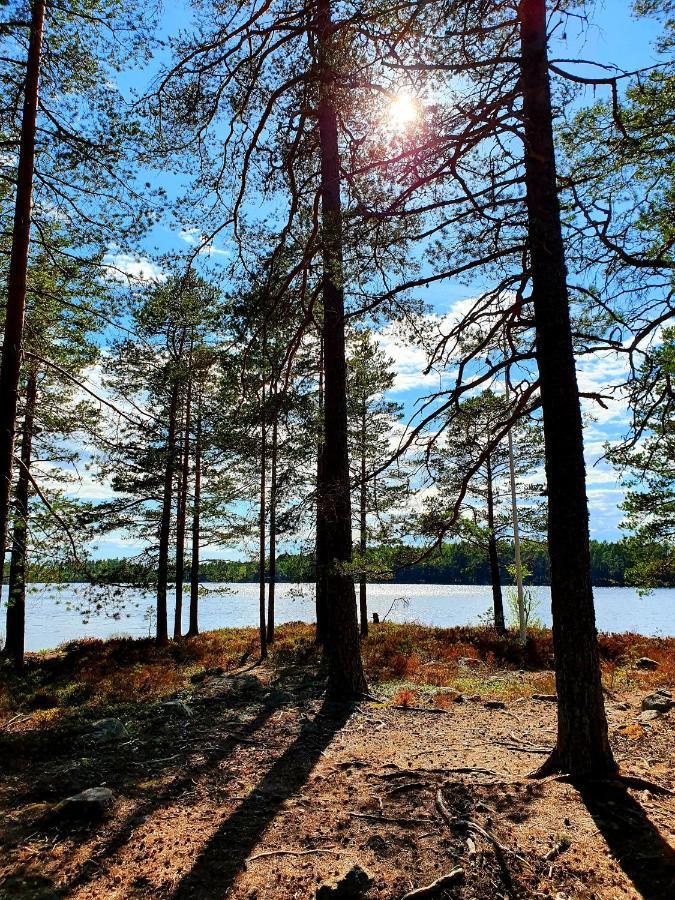 Schnieders2German Forest Room Harmanger Экстерьер фото